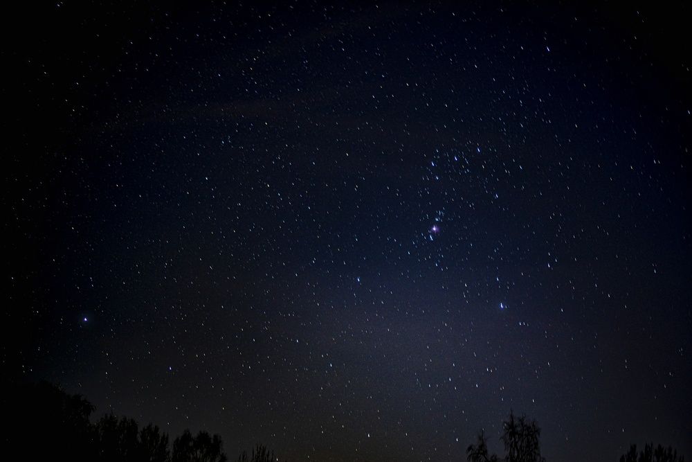 Фотография автора Шарова Наталия