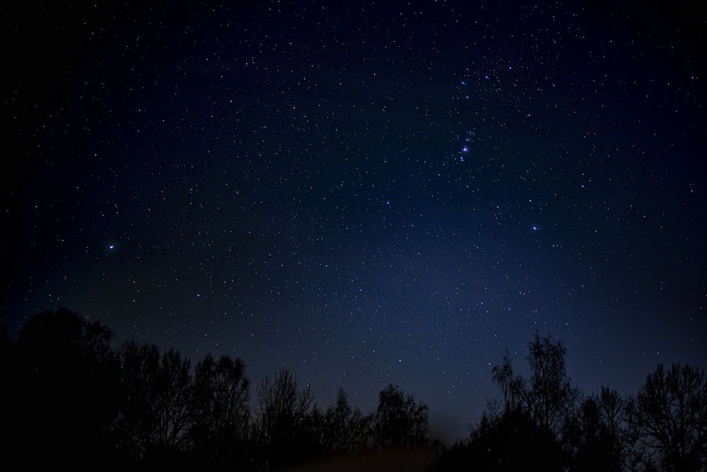 Фотография автора Шарова Наталия