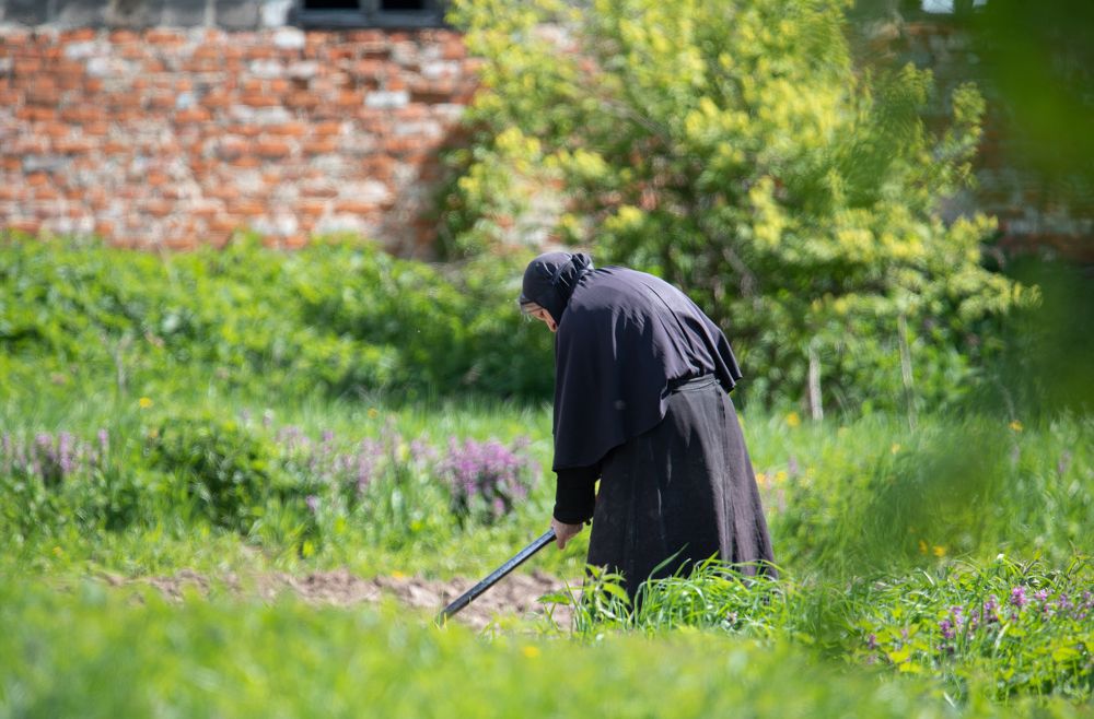 Photograph by наталья залогина