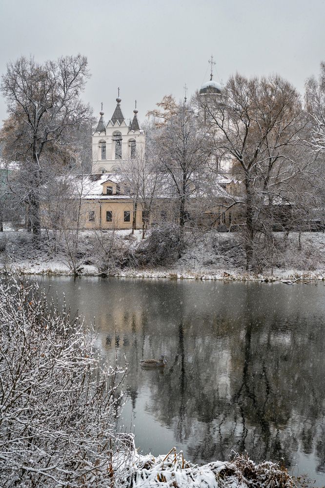 Одинокая утка на пруду