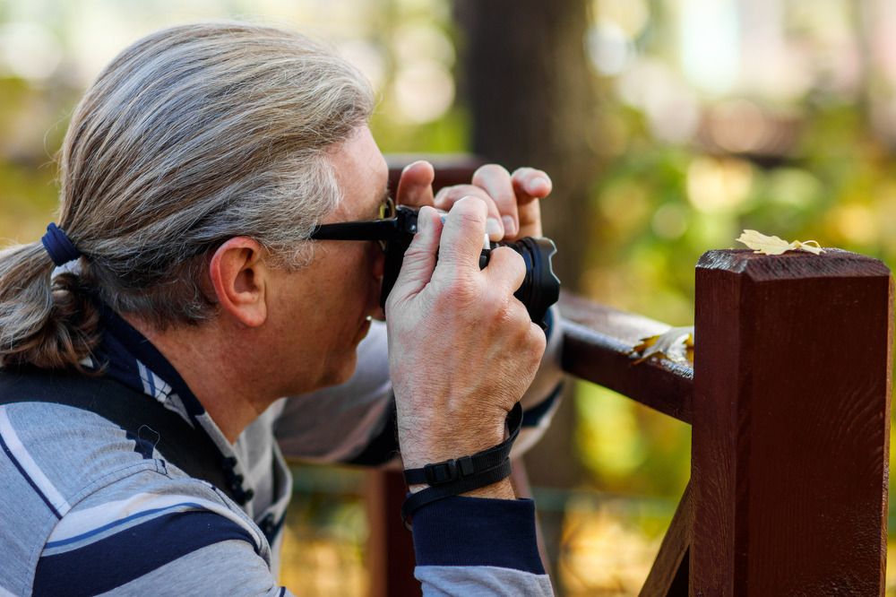 Photograph by Александр Стрельченко