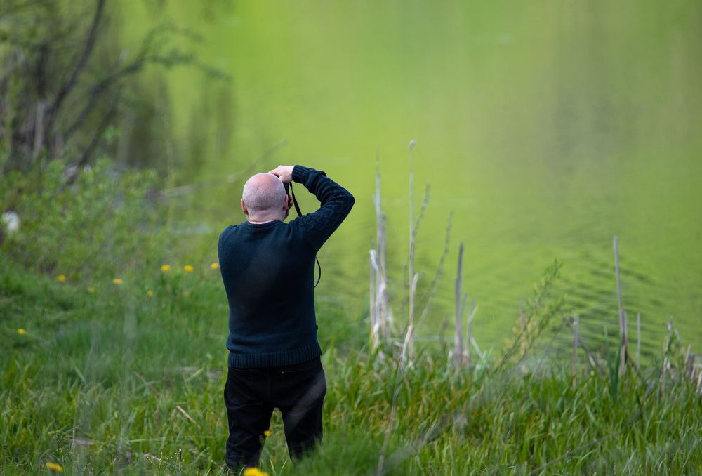 Photograph by наталья залогина