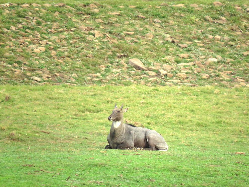 Photograph by APPLAUSE LOVER