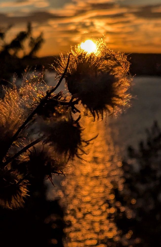 Photograph by Ольга Тимофеева