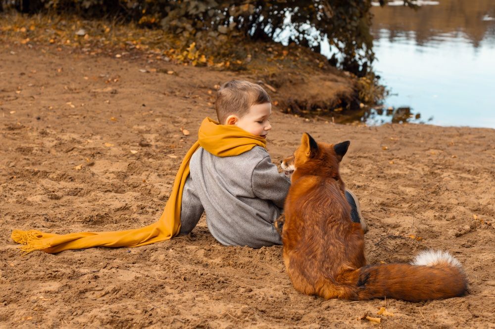 Photograph by Анна Авилочкина