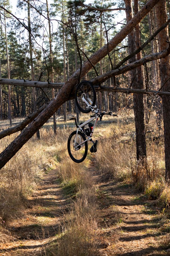 Photograph by Сергей Конюшенко