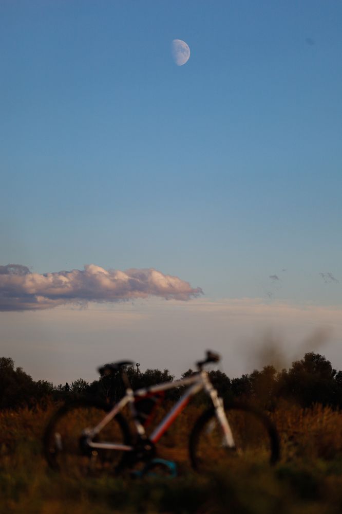 Photograph by Сергей Конюшенко