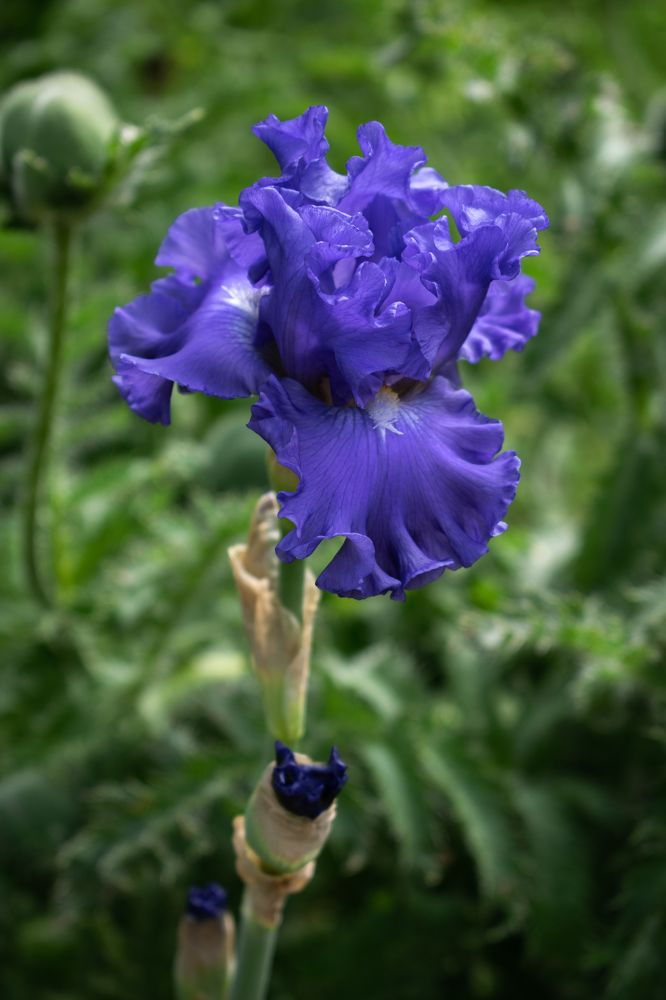 Photograph by Галина Ноздрина