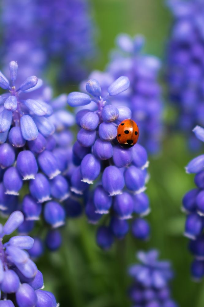 Photograph by Галина Ноздрина