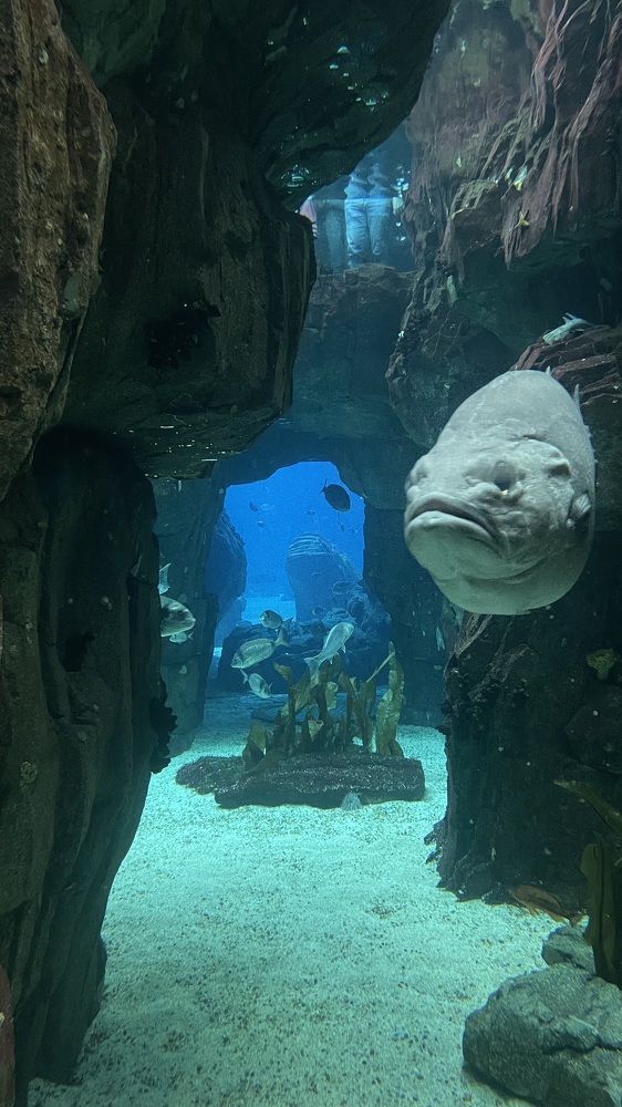 Photograph by Людмила Казак