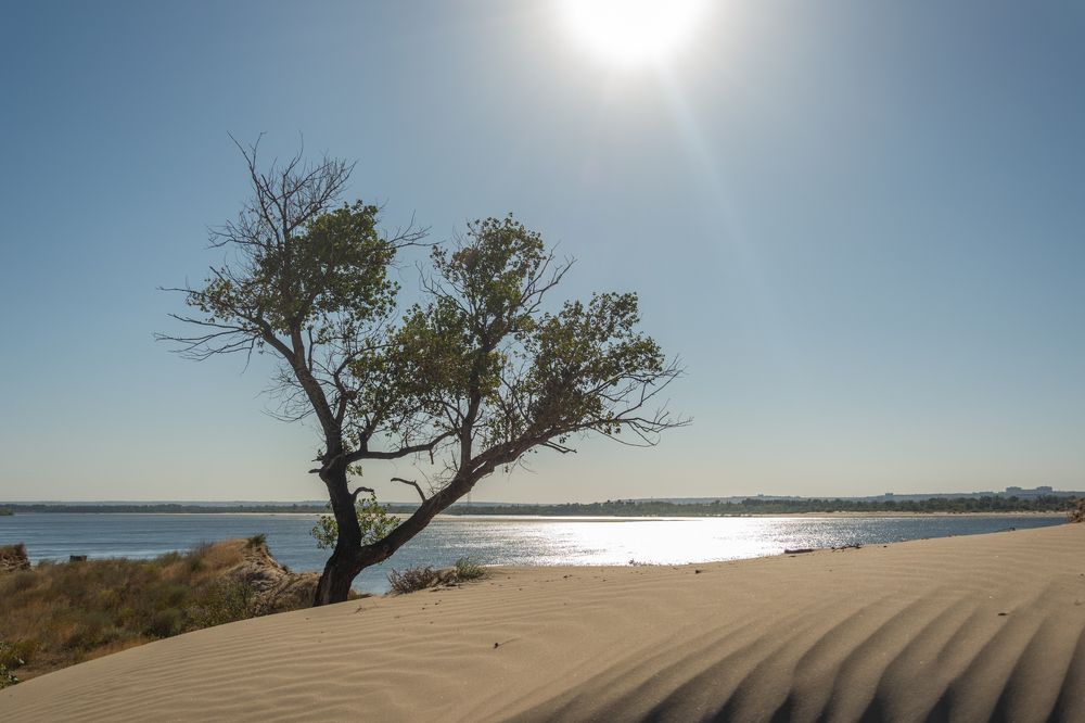 Photograph by Ольга Салтыкова