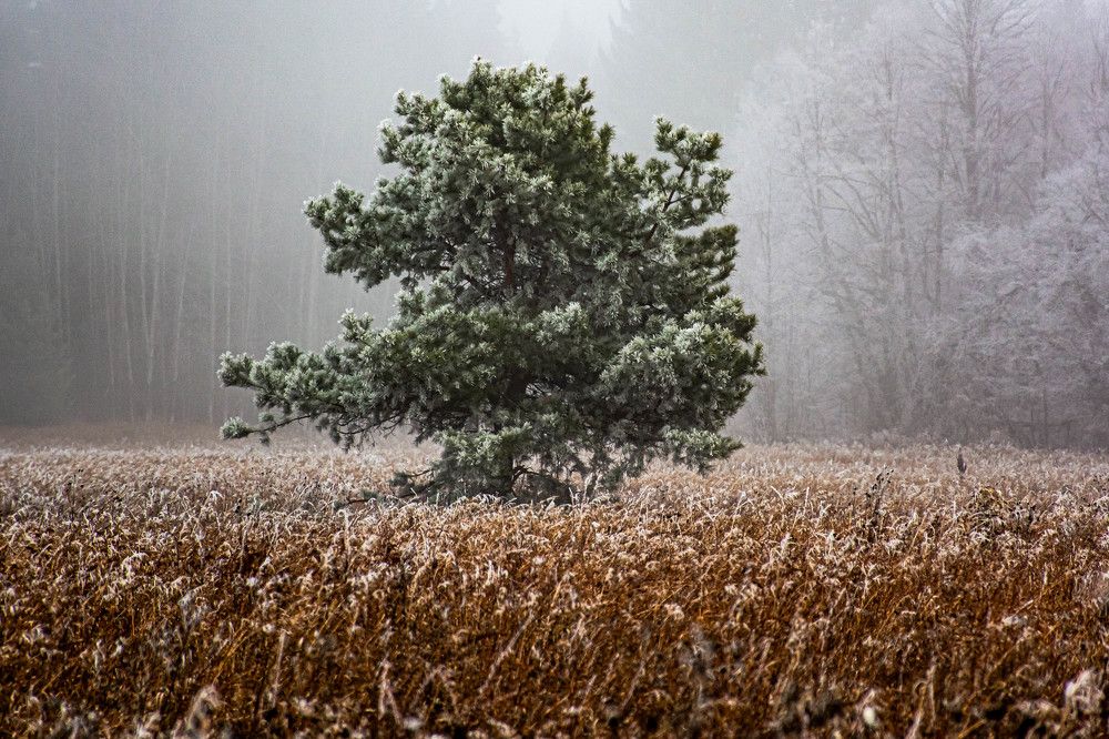 Photograph by Людмила Баймухаметова