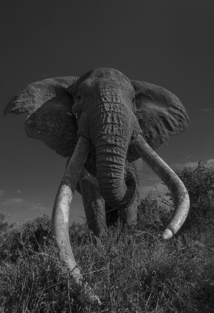 Up close and personal with Craig