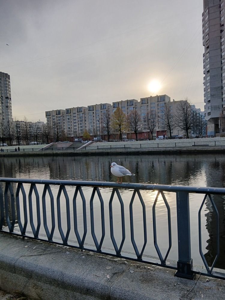Photograph by Зоя Кузьмук