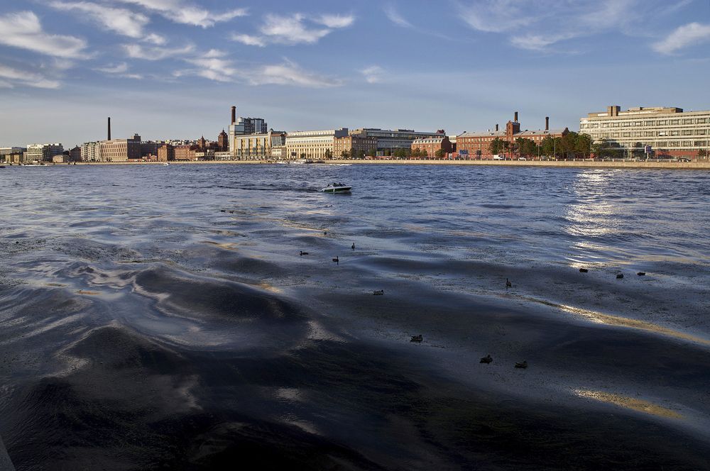 Фотография автора Харламова Валентина