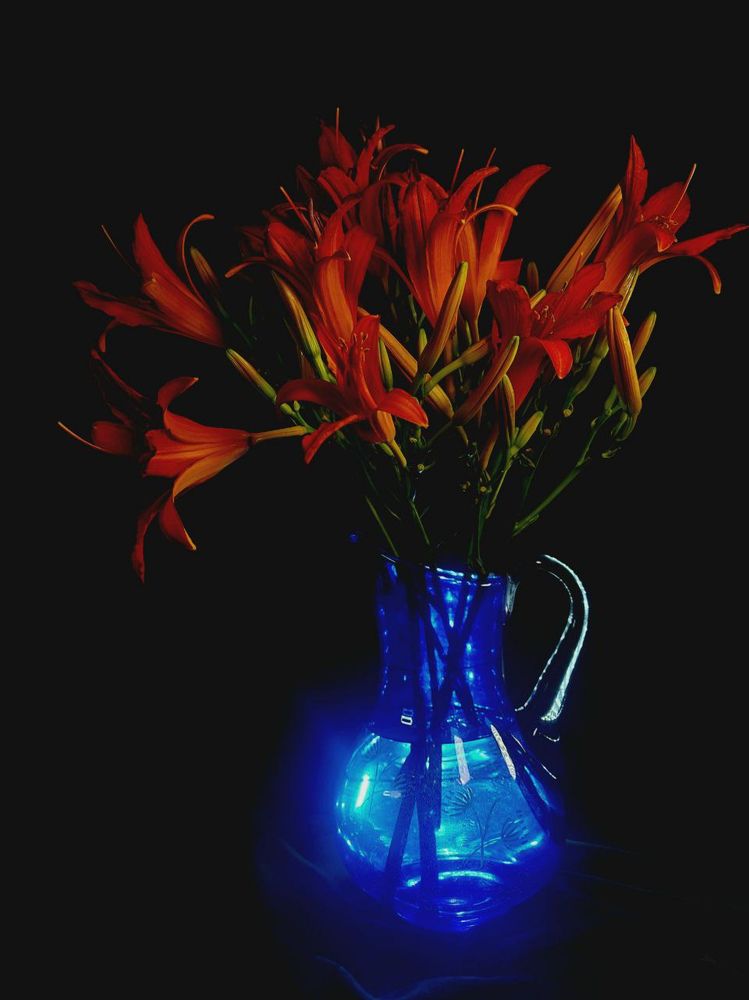 Photograph by Мария Тафеенко