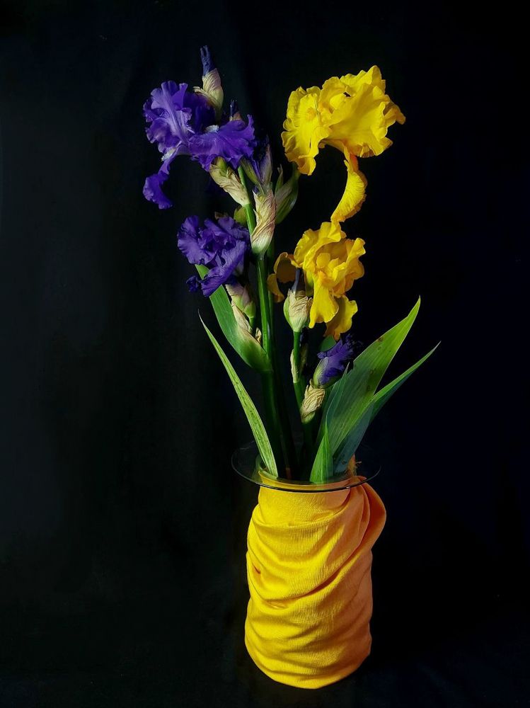 Photograph by Мария Тафеенко