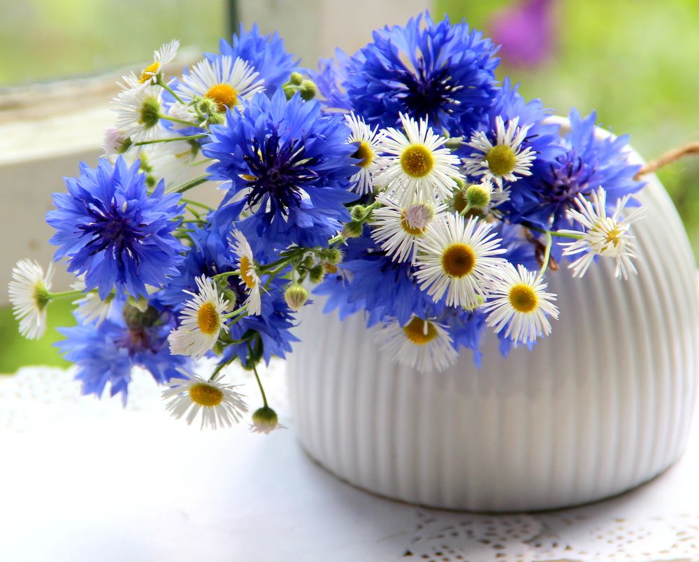 Photograph by Жанна Нечаева