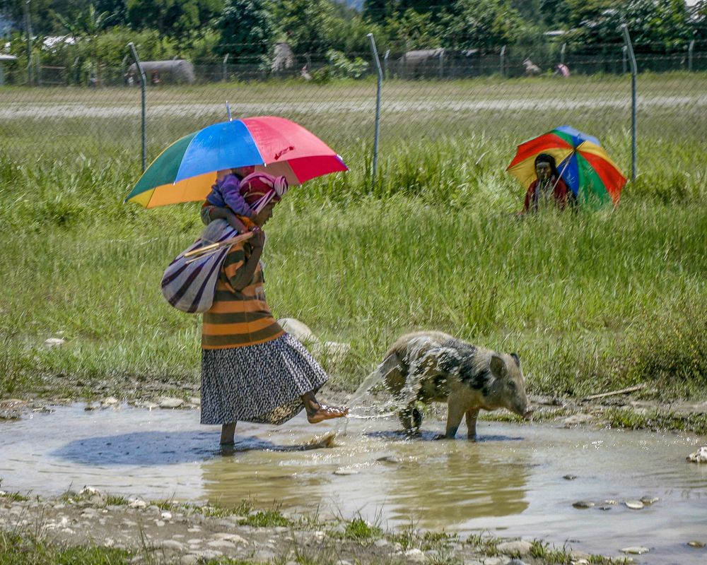 Фотография автора Анатолий