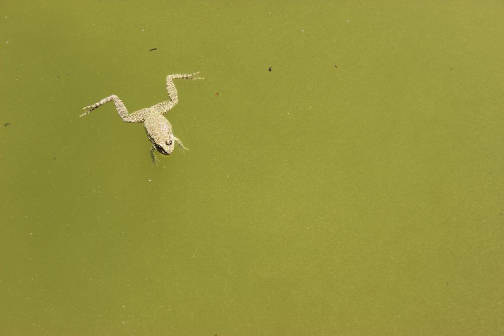 Photograph by Anastasia Kodatenko