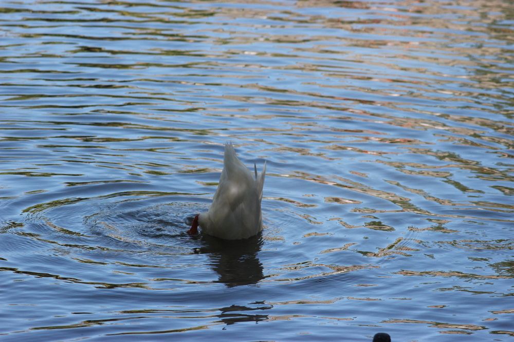 Photograph by Anastasia Kodatenko