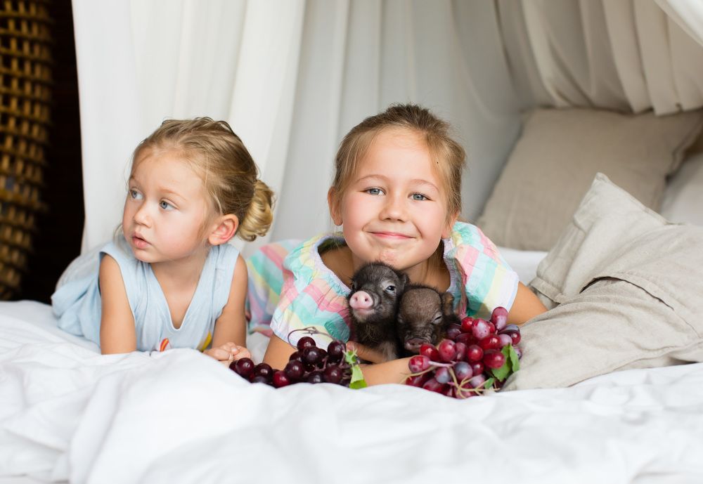 Photograph by Юлия Герман