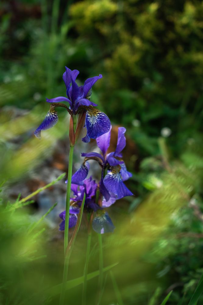 Photograph by Галина Ноздрина