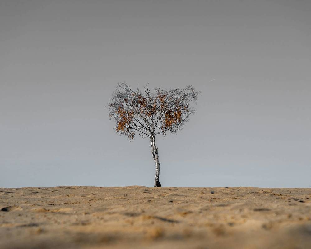 Photograph by Роман Данильчик