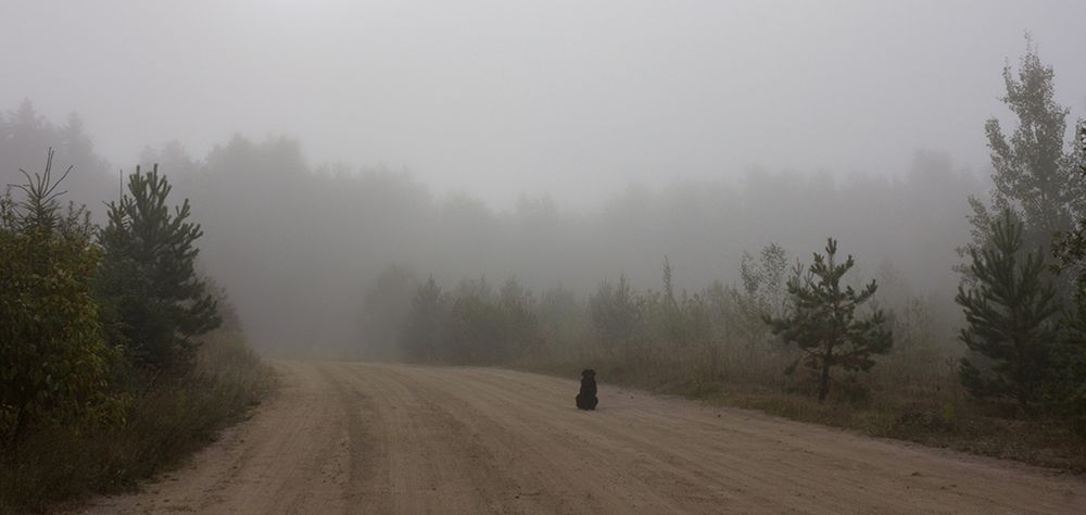 Фотография автора Борис Журавлёв
