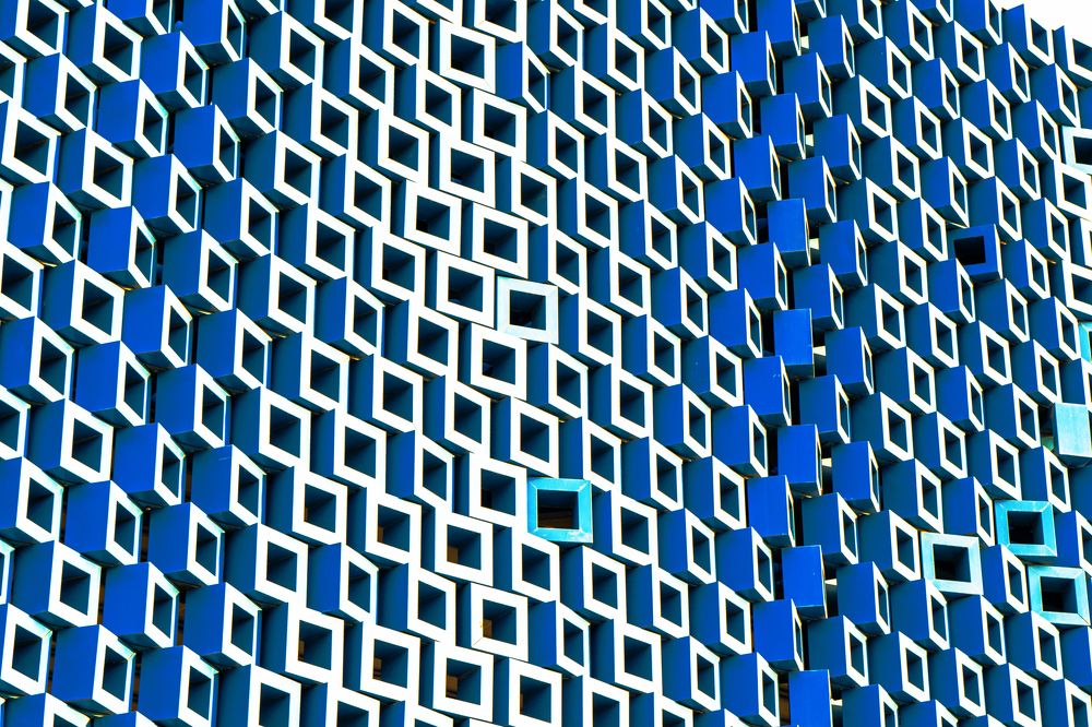 Photograph by Ali Abu Ras