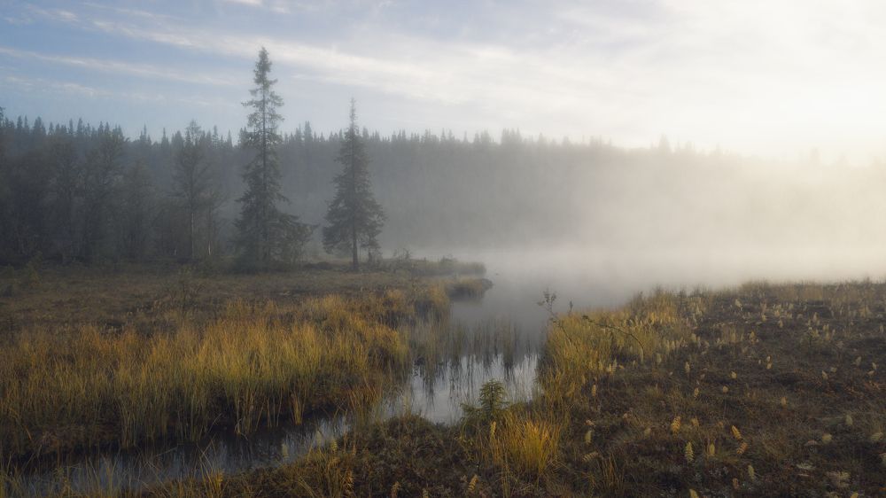 Утро на таёжном озере
