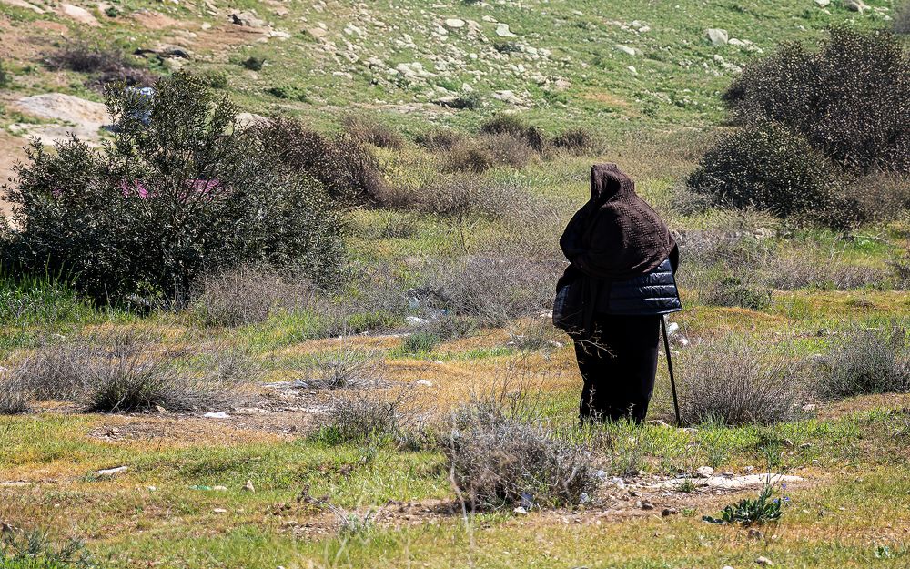 Photograph by Ali Abu Ras