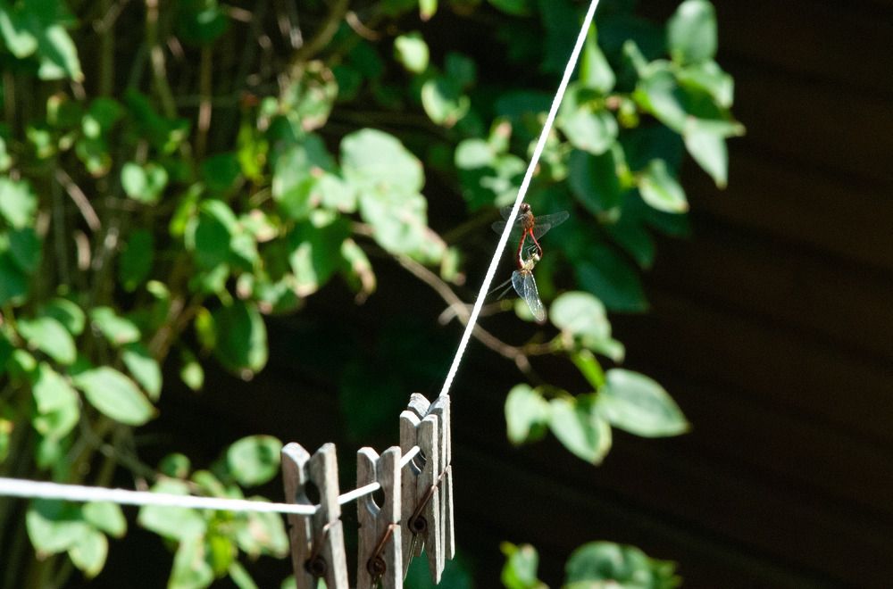 Photograph by Милена Полтавец