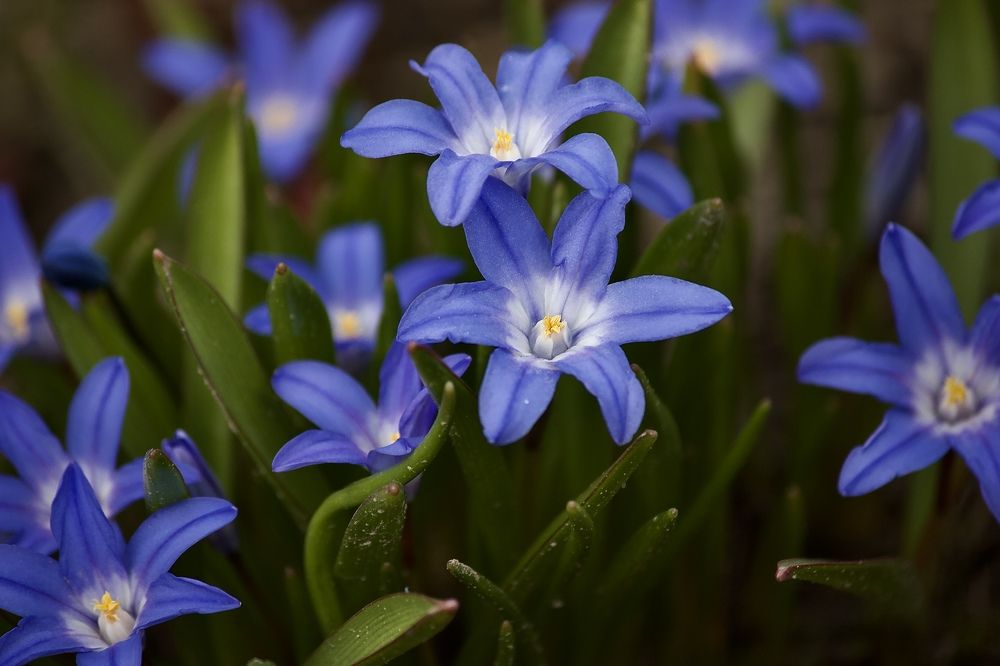 Photograph by Лариса Белашова