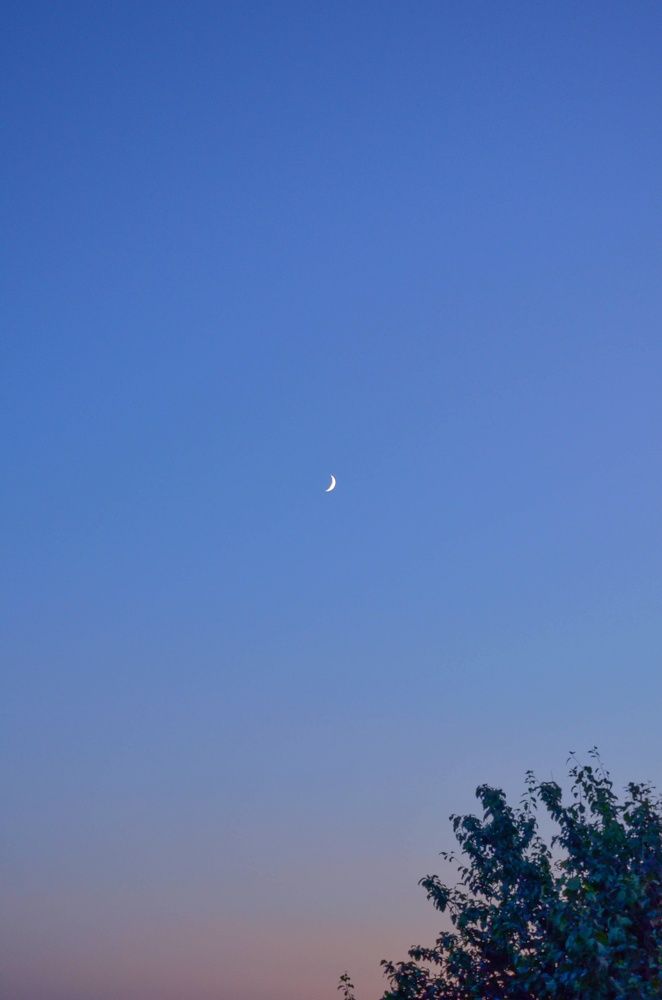 Photograph by Ольга Семенова