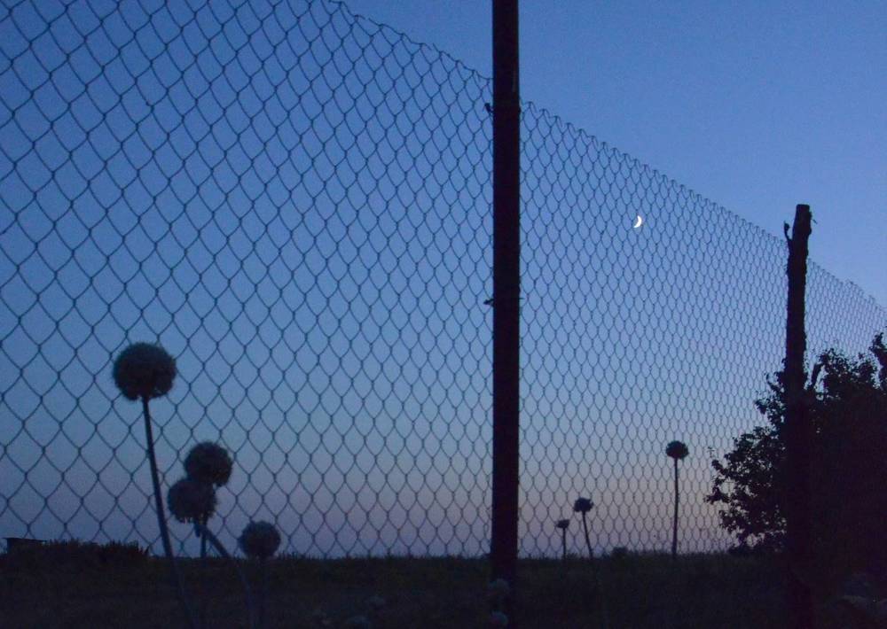 Photograph by Ольга Семенова