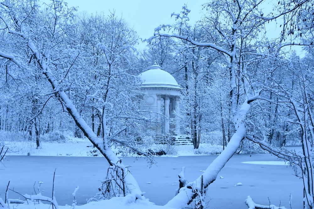 Photograph by Виталий Попов