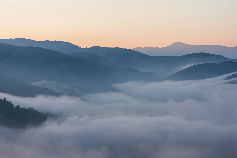 Photograph by Mina Mamdouhi