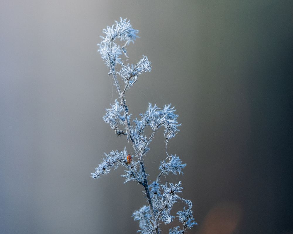 Photograph by Роман Данильчик