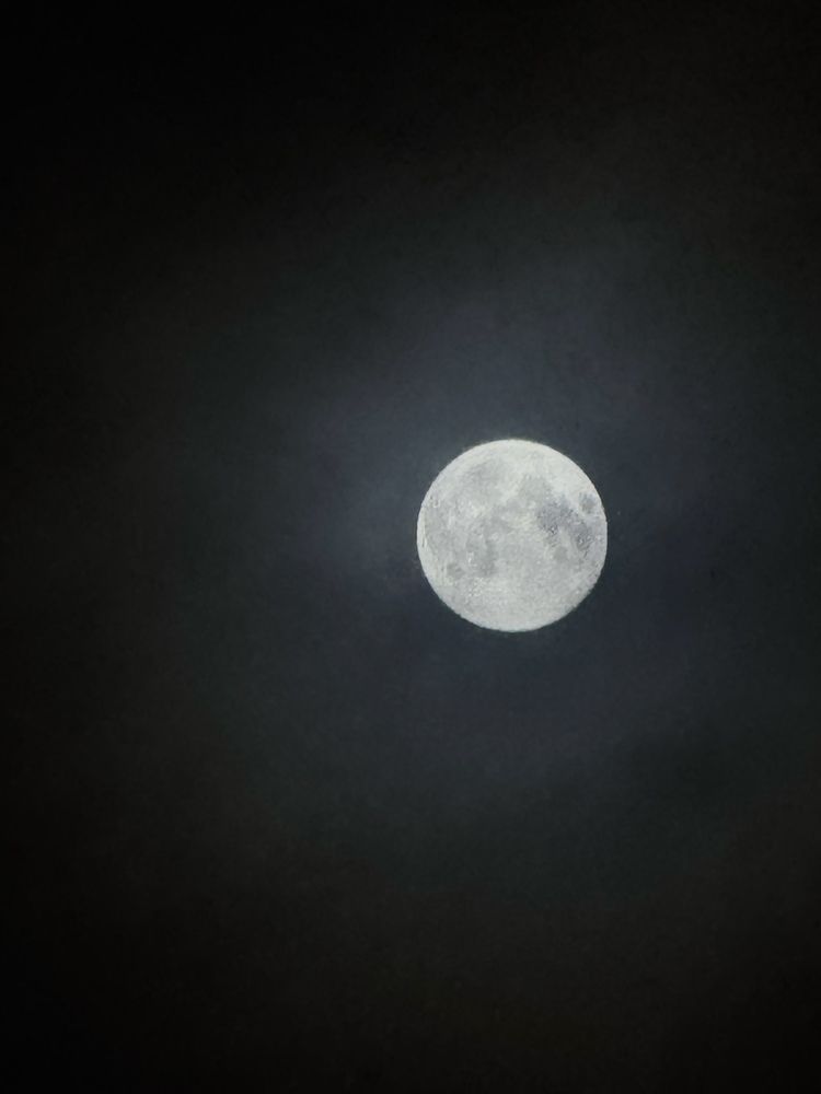 Photograph by Диана Есина