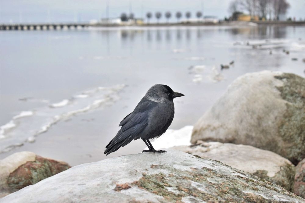 Photograph by Антонина Шабышева