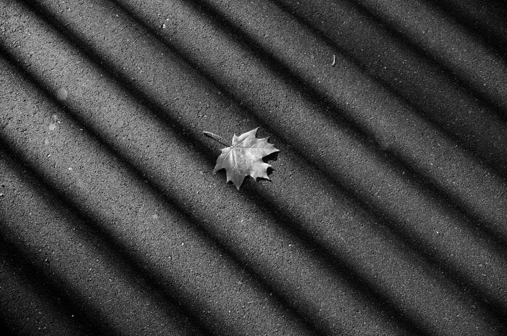 Фотография автора Сергей Черкасов