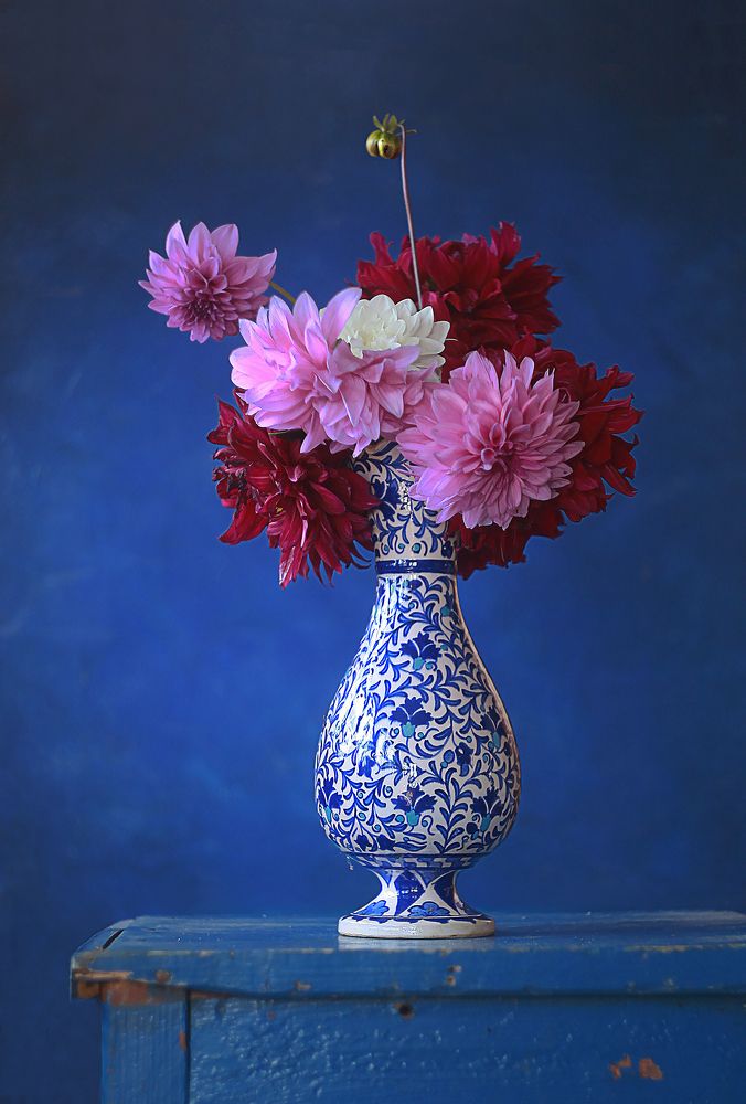 Photograph by Светлана Кавказская