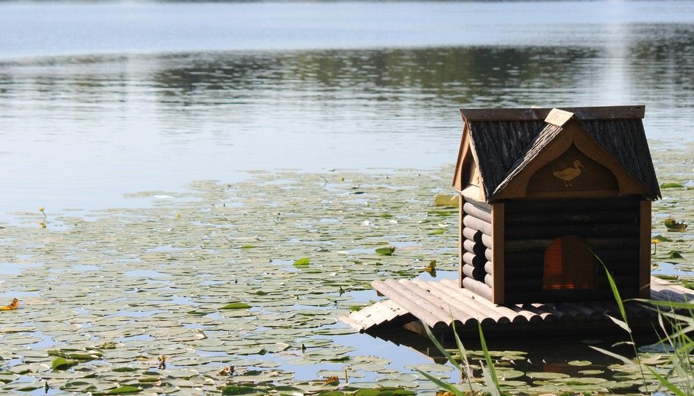 Photograph by Дарья Беляева