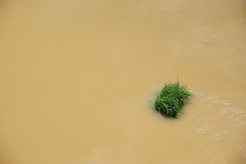 Photograph by Ranko Dokmanovic