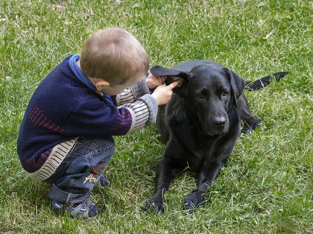 Фотография автора Борис Журавлёв