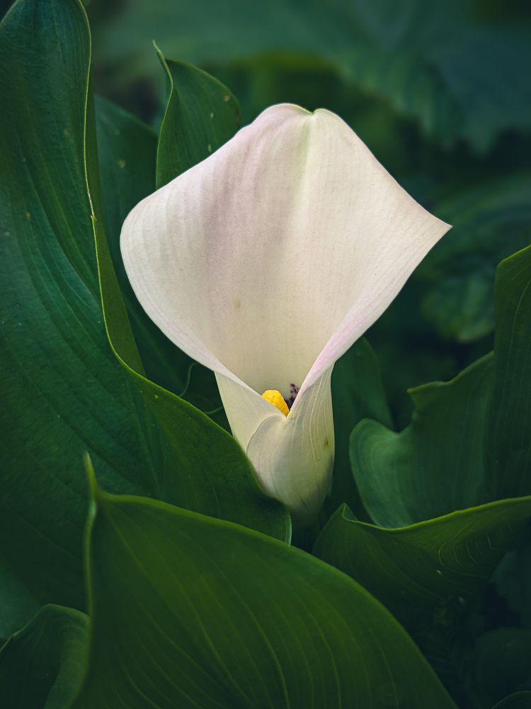 Photograph by Светлана Каравайская