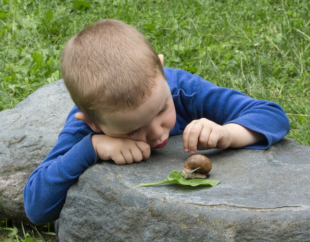 Фотография автора Борис Журавлёв