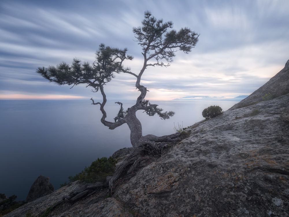 Photograph by  Алексей