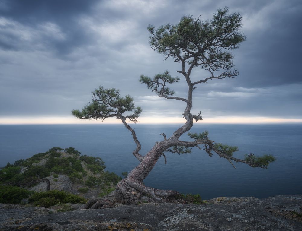 Photograph by  Алексей